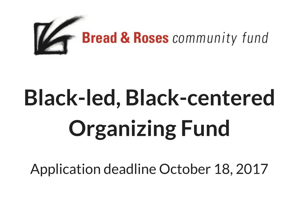 Black-led, Black-centered Organizing Fund announcement image